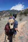 A young man stnads with his back to the camera.  He is wearing hiking clothes and carries a dog in a backpack.  There are mountains in the bacckground and a blue sky with a few small, w
